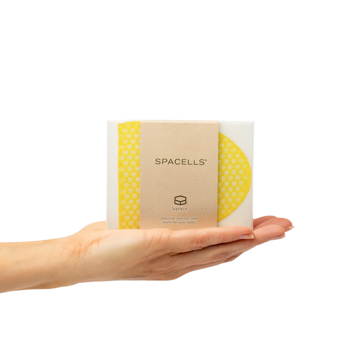 SUPRACOR - Exfoliating Facial sponge